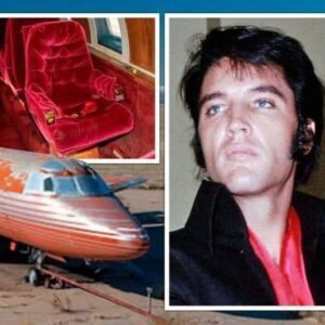 436210609 122119467164270069 5607321422599541226 N