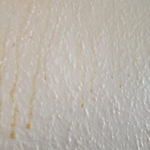 436393008 122142151664234729 9210604749517884853 N