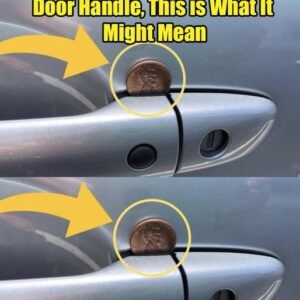 438102389 1215400583042953 5066451045964984125 N