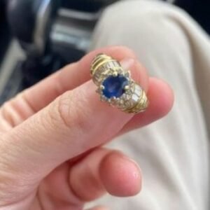 438197584 122146000088050854 5419834981273359496 N (1)