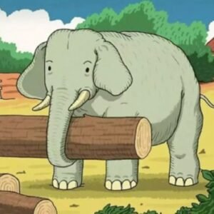 441496822 456907976993025 699086571676850097 N