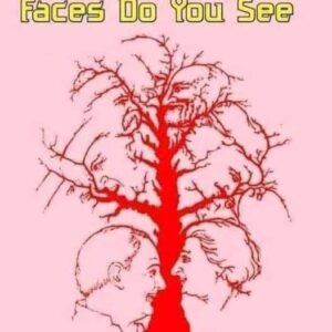 441532140 122143892090234729 2354670821580687649 N