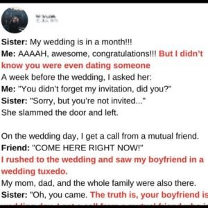 441533521 1217609242822087 8282804492711635065 N