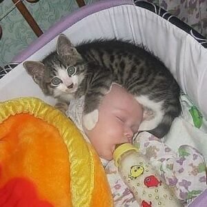 441958801 122142346544234729 2857060337124287135 N