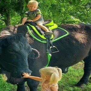 442385801 1215675896348755 6257661460164596547 N Copy