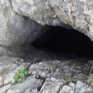 442476079 122120317394270069 7760399803842917562 N