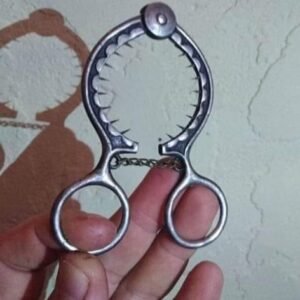 442480610 1215311216385223 886249124067132197 N