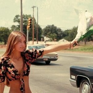 442494723 122146736132050854 1219657235276050681 N