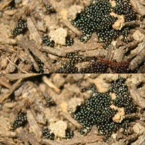 444151822 122142751940234729 3499632242660162582 N