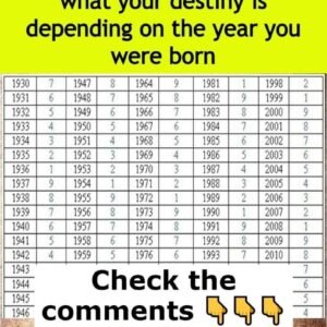 445003962 1217562422826769 2477623395665408634 N