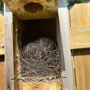 445816138 122144129408234729 7322948763511541925 N