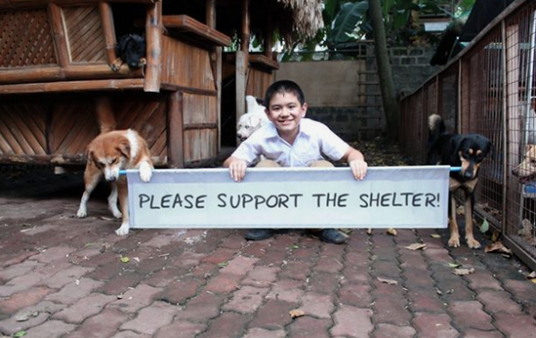 9-YEAR-OLD BOY USES POCKET MONEY TO FEED STRAY DOGS, THEN RAISES MONEY TO OPEN ANIMAL SHELTER