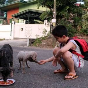9-YEAR-OLD BOY USES POCKET MONEY TO FEED STRAY DOGS, THEN RAISES MONEY TO OPEN ANIMAL SHELTER