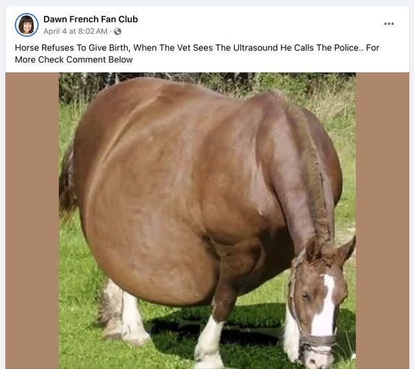 Fact Check: Viral Story Claims Vet Called Police After Reviewing Ultrasound of Horse Refusing to Give Birth. Here's the Truth Fact Check: Viral Story Claims Vet Called Police After Reviewing Ultrasound of Horse Refusing to Give Birth. Here's the Truth