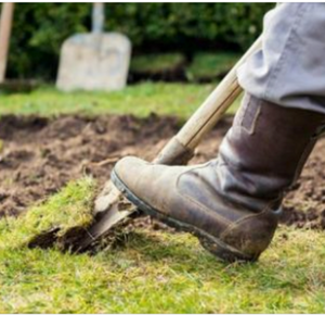 The Intriguing Tale of a Hidden Bomb Shelter in Tucson