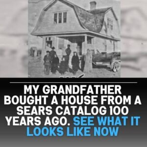 441923377 122145914102234729 6022220403204784404 N