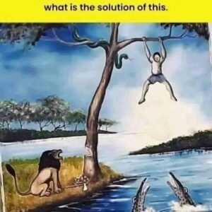 442506312 122145807302234729 8907837376314988392 N