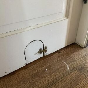 444470585 122143612838234729 312271169286852283 N