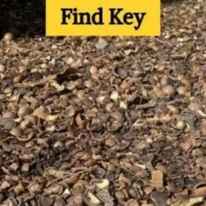 444505248 122143364294234729 5221928495413561845 N