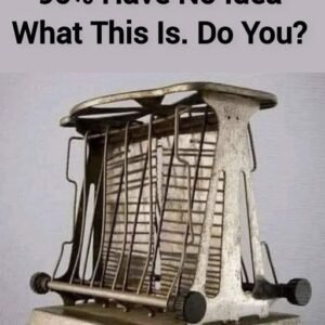 445014165 122149969112050854 1501705646581444218 N