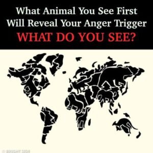 447028526 122143643420234729 9124635241158291151 N