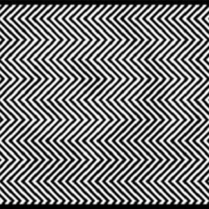 447582390 122145383138234729 6232504984764788088 N