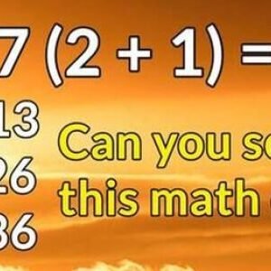 447706038 122145776162234729 941111826207008845 N