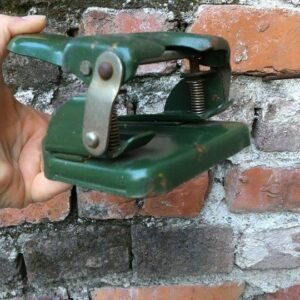 447725081 122145373472234729 1740341793210893926 N