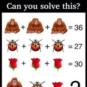 447777652 122145655052234729 555215203809386468 N