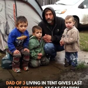 447897771 122149811948050854 6166438595815194251 N (1)