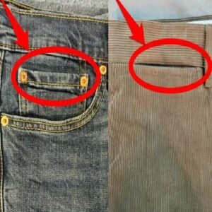 448278959 122151218444050854 3913489748874397906 N