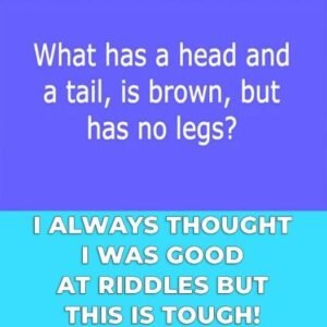 448393033 122150884502050854 6734512016803612280 N