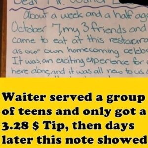 448589844 440846188778342 5542860616669553247 N