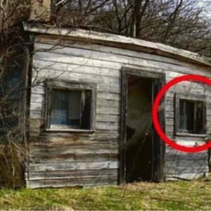 448821186 441987428664218 3493440253453457461 N