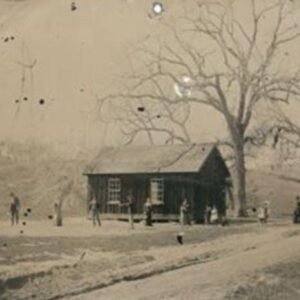 448834483 442602758602685 8065062004706225627 N