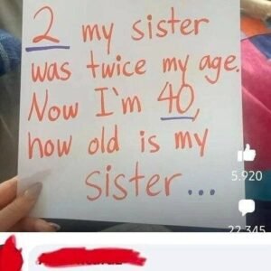 449189686 443365971859697 5488132795509926604 N