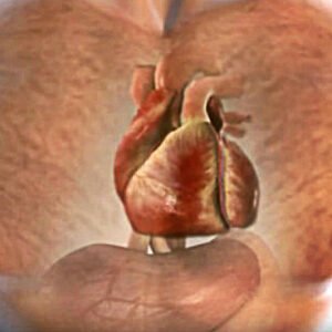 One Month Before A Heart Attack Your Body Will Warn You – Beware Of These 6 Signs