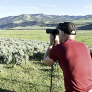 Screenshot 2024 06 26 At 12.45.53 1024x658