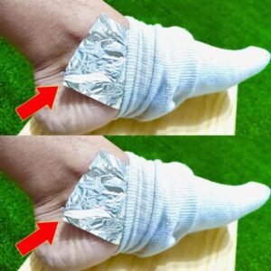 456441354 515333247706506 4994202341829583070 N