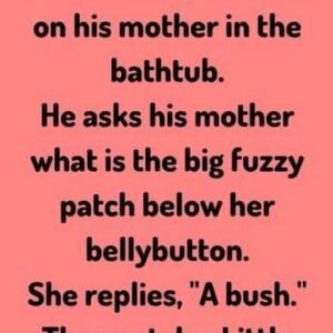 456477384 122186350316034981 3643030319051983851 N