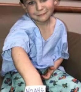 456608217 122180571086071088 8789201501313534138 N (1)