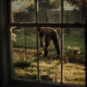 458341871 391011320710244 3690759983058272449 N